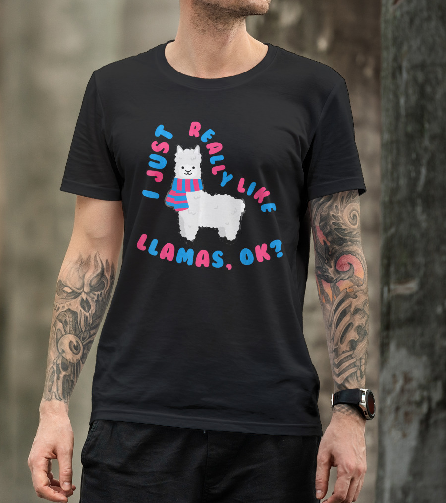 I Just Really Like Llamas OK Cute Llama With Scarf T-Shirt