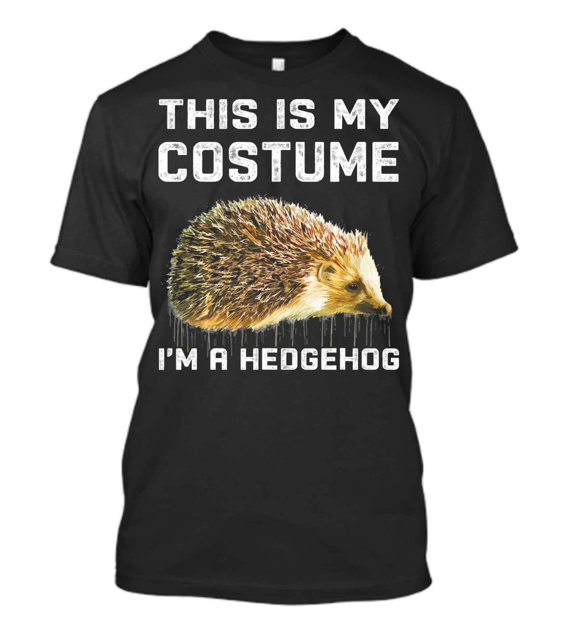 This Is My Costume I'm A Hedgehog Text T-Shirt