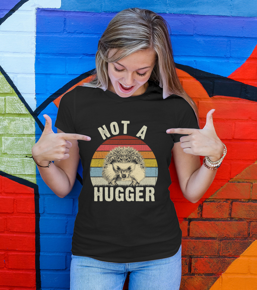 Not A Hugger Funny Hedgehog Sarcastic Retro Sunset Stripes T-Shirt