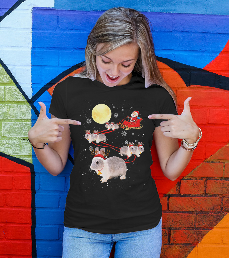 Santa's Bunny Sleigh Under The Moon T-Shirt