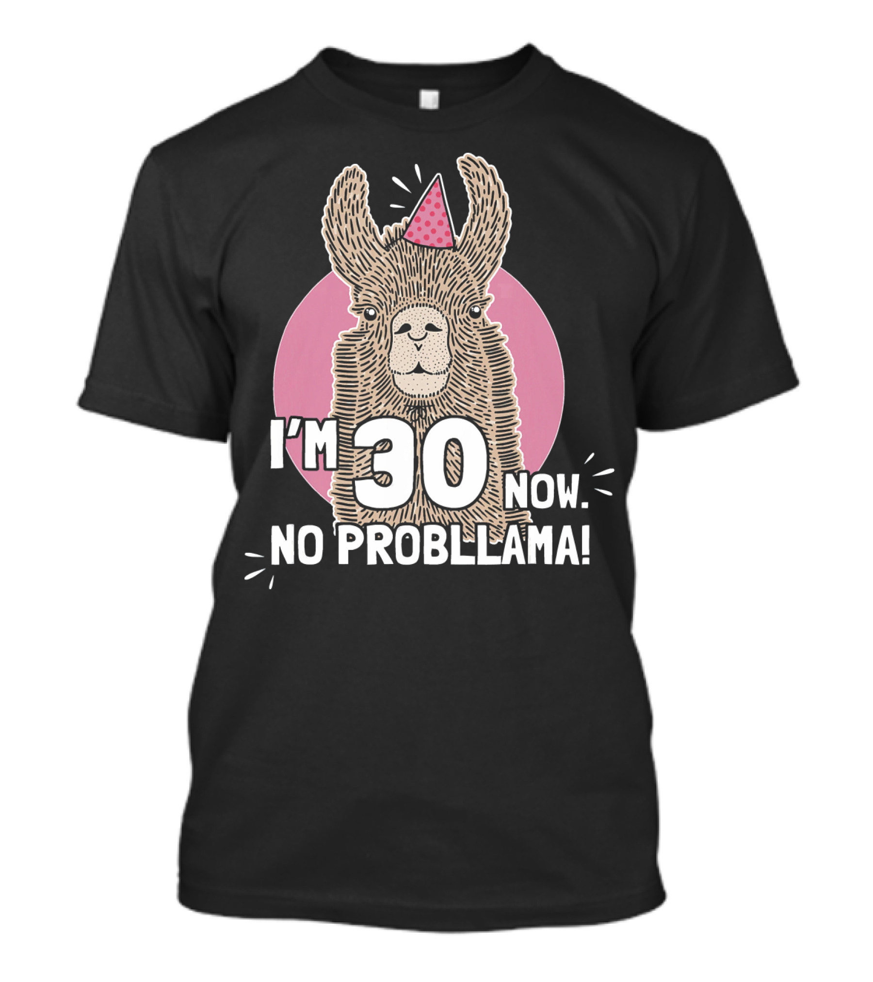 I'm 30 Now No Probllama Birthday Milestone 30th B Day Llama T-Shirt
