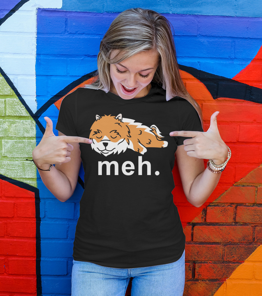 Pomeranian Meh Dog Sleeping T-Shirt