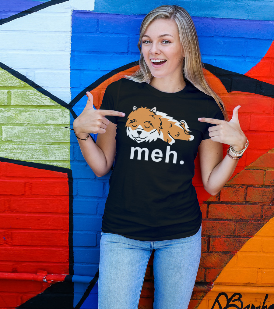 Pomeranian Meh Dog Sleeping T-Shirt