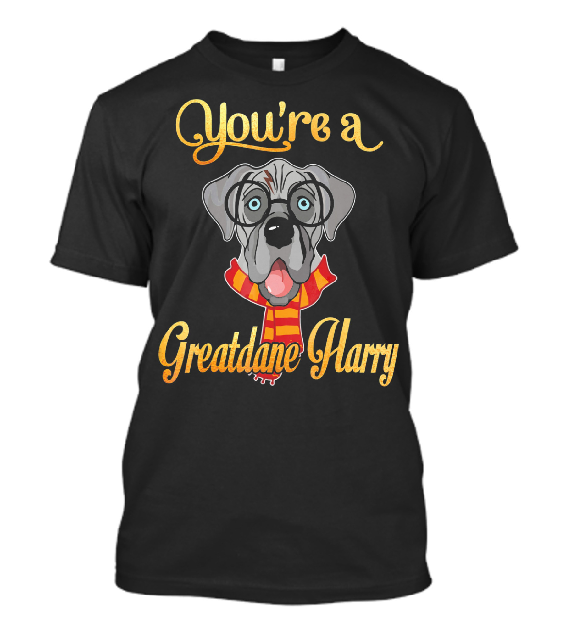 You're A Greatdane Harry Dog Potter Glasses And Scarf T-Shirt