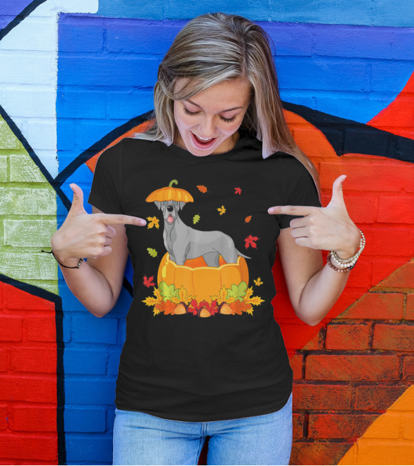 Thanksgiving Great Dane In Pumpkin With Autumn Leaves And Acorns T-Shirt
