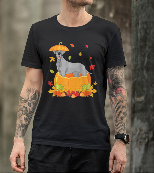 Thanksgiving Great Dane In Pumpkin With Autumn Leaves And Acorns T-Shirt