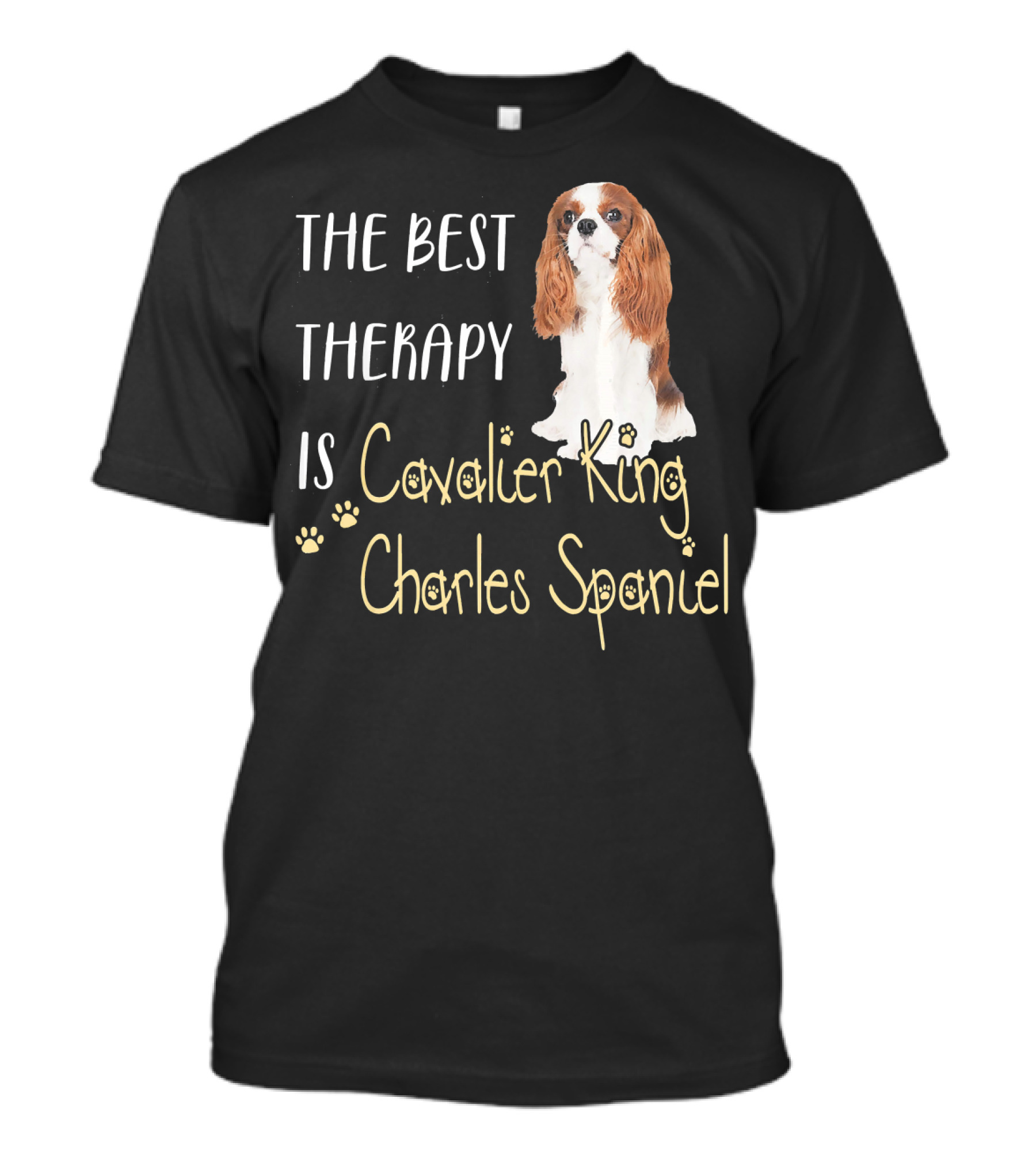 The Best Therapy Is Cavalier King Charles Spaniel T-Shirt