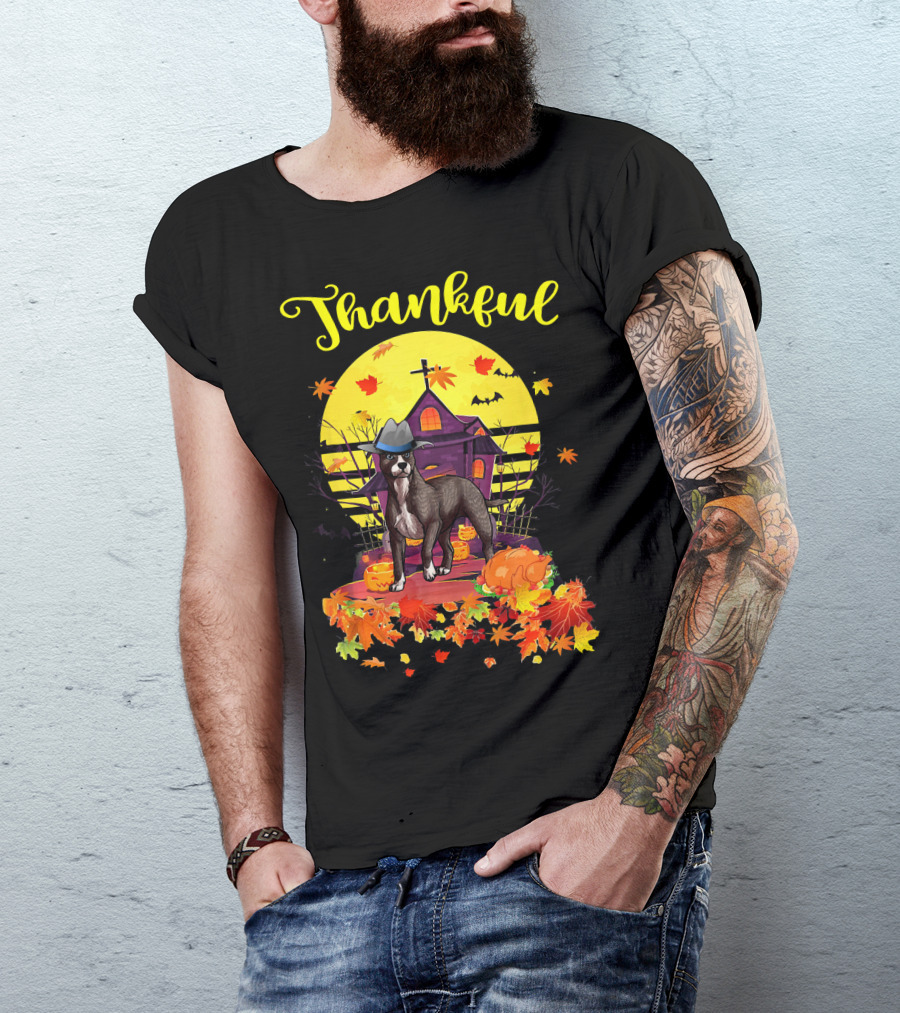 Thankful American Pit Bull Terrier Dog Pilgrim With Pumpkin And Leaves T-Shirt
