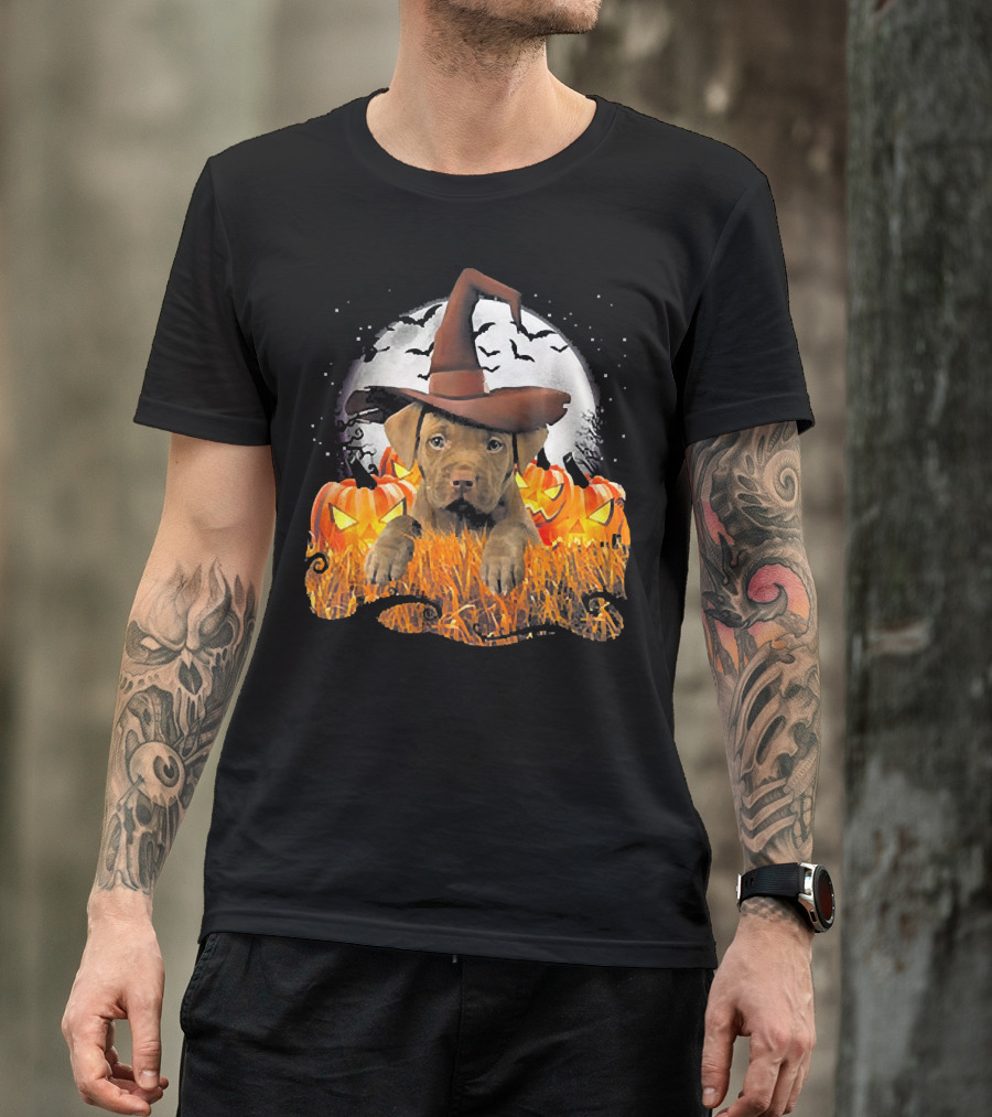 Cute Gold Pit Bull Witch With Pumpkins And Bats On Halloween Night T-Shirt