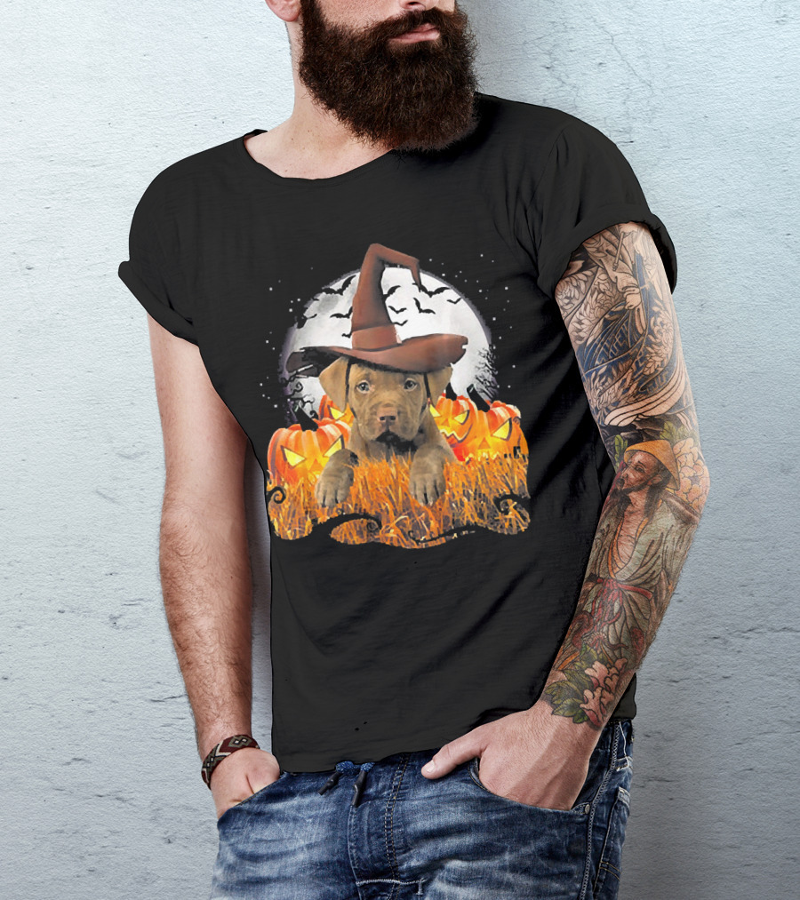 Cute Gold Pit Bull Witch With Pumpkins And Bats On Halloween Night T-Shirt