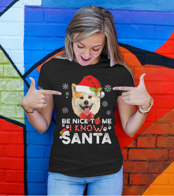 Be Nice To Me I Know Santa Akita Snowflakes Christmas Hat T-Shirt