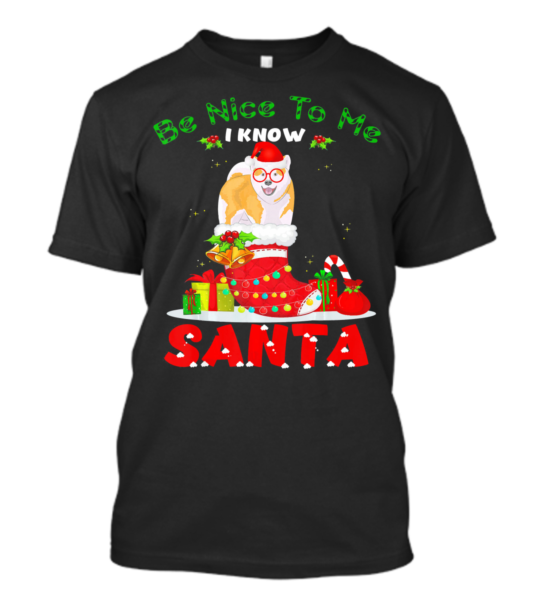 Be Nice To Me I Know Santa Akita Inu Dog Christmas Stocking Gifts T-Shirt