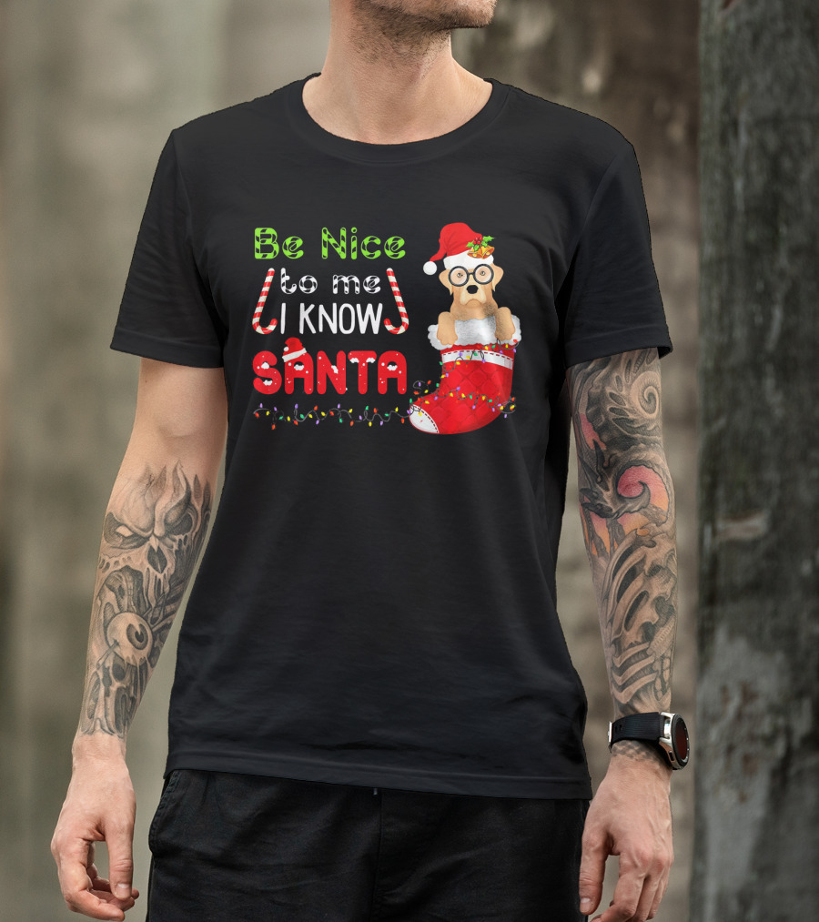 Be Nice To Me I Know Santa Labrador Christmas Stocking T-Shirt