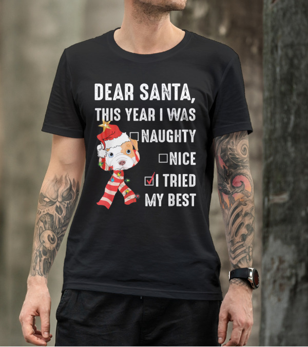 Dear Santa This Year I Was Naughty Nice I Tried My Best Dog Christmas Hat Lights T-Shirt