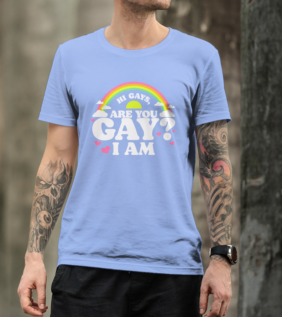 Chrissy Chlapecka Merch Hi Gays Are You Gay I Am With Rainbow And Hearts T-Shirt