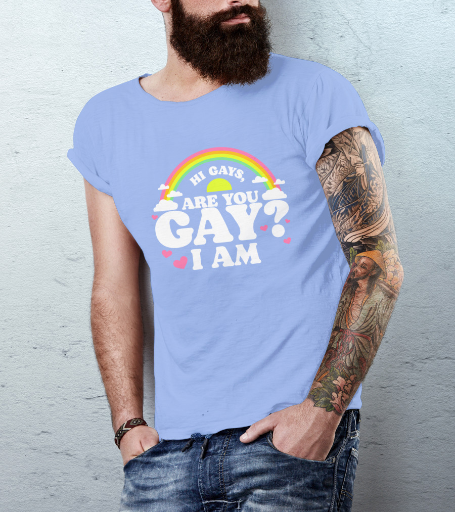 Chrissy Chlapecka Merch Hi Gays Are You Gay I Am With Rainbow And Hearts T-Shirt