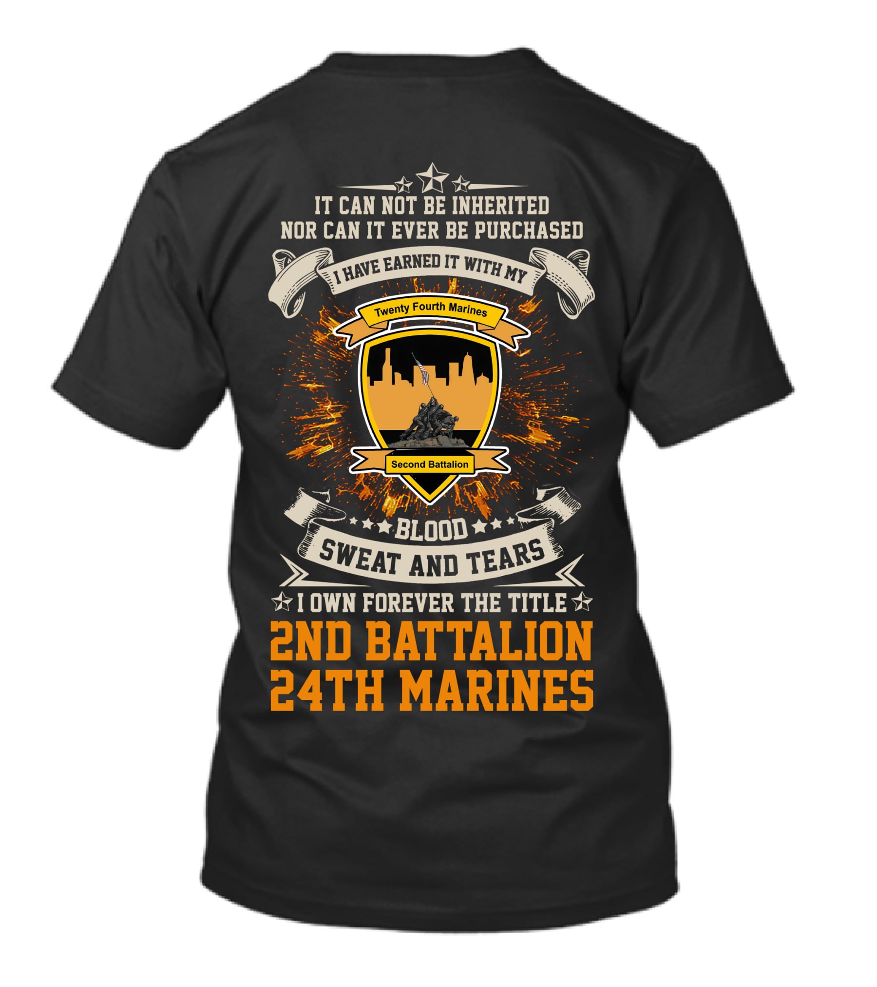 2Nd Battalion 24Th Marines Blood Sweat And Tears Forever The Title T-Shirt