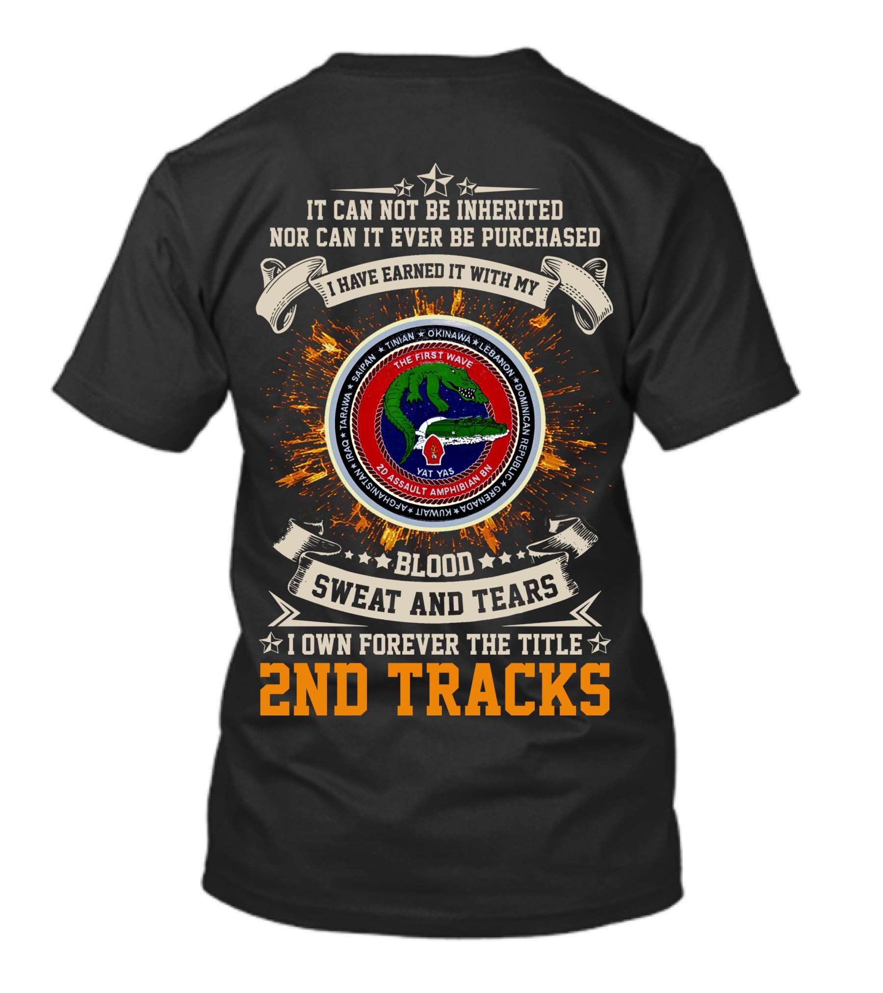 2Nd Assault Amphibian Battalion Blood Sweat And Tears I Own Forever The Title 2Nd Tracks T-Shirt
