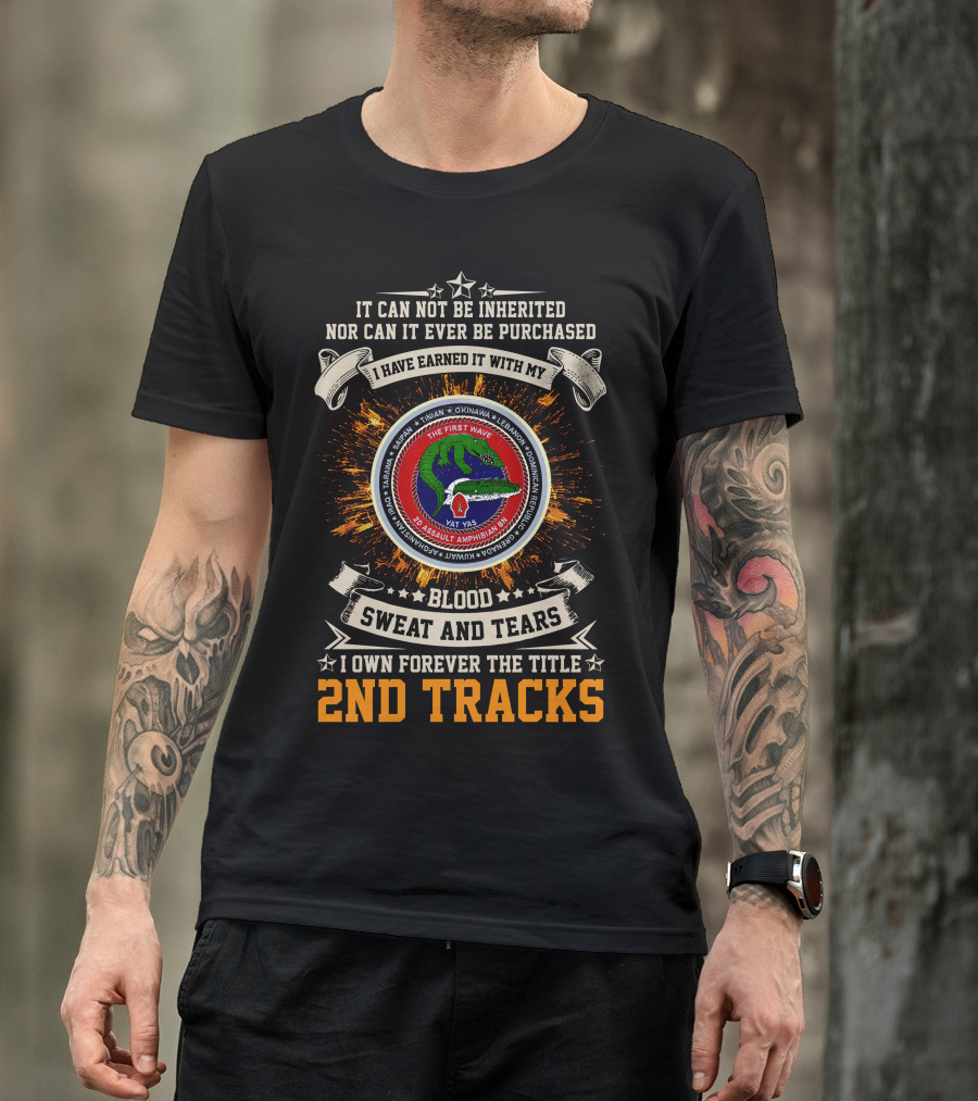 2Nd Assault Amphibian Battalion Blood Sweat And Tears I Own Forever The Title 2Nd Tracks T-Shirt