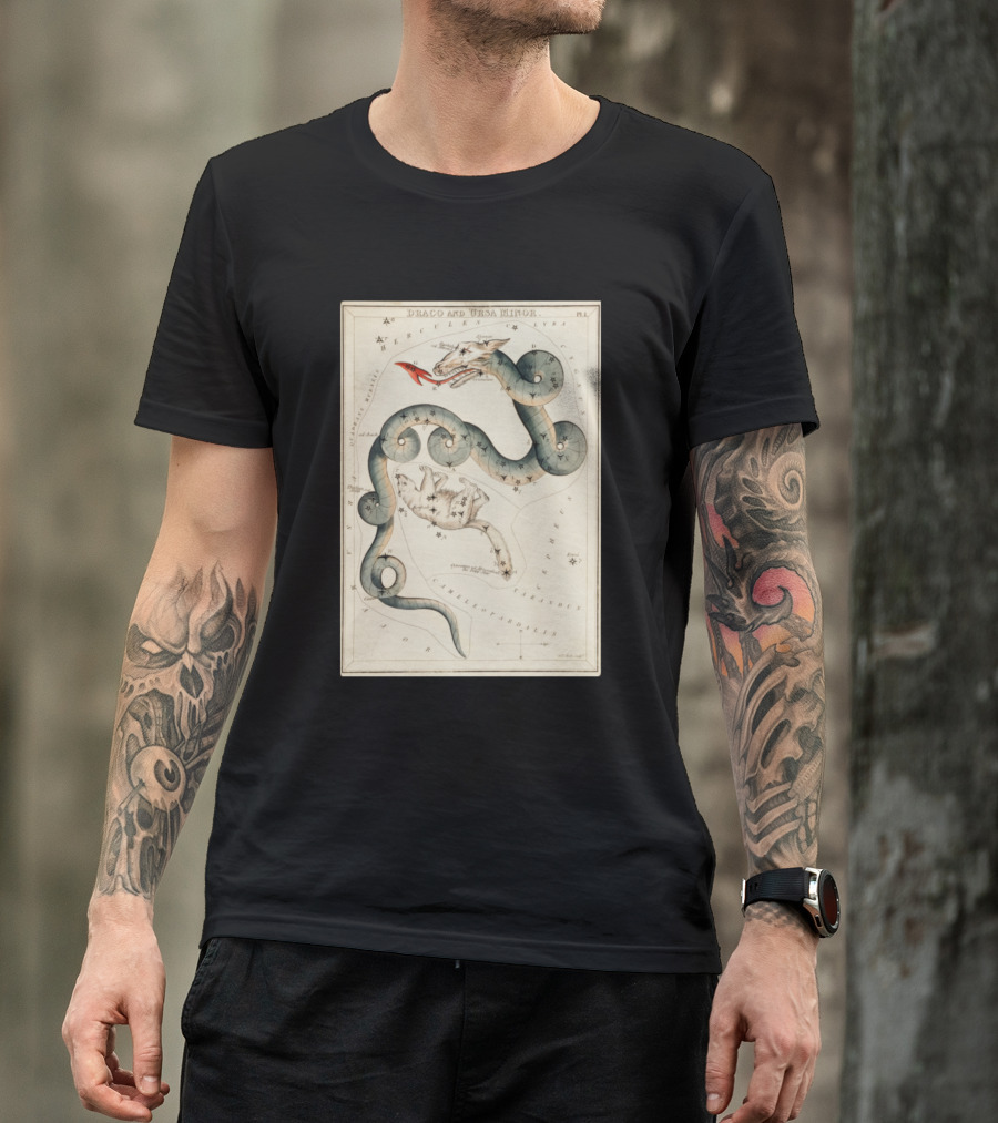 Draco And Ursa Minor Celestial Map T-Shirt