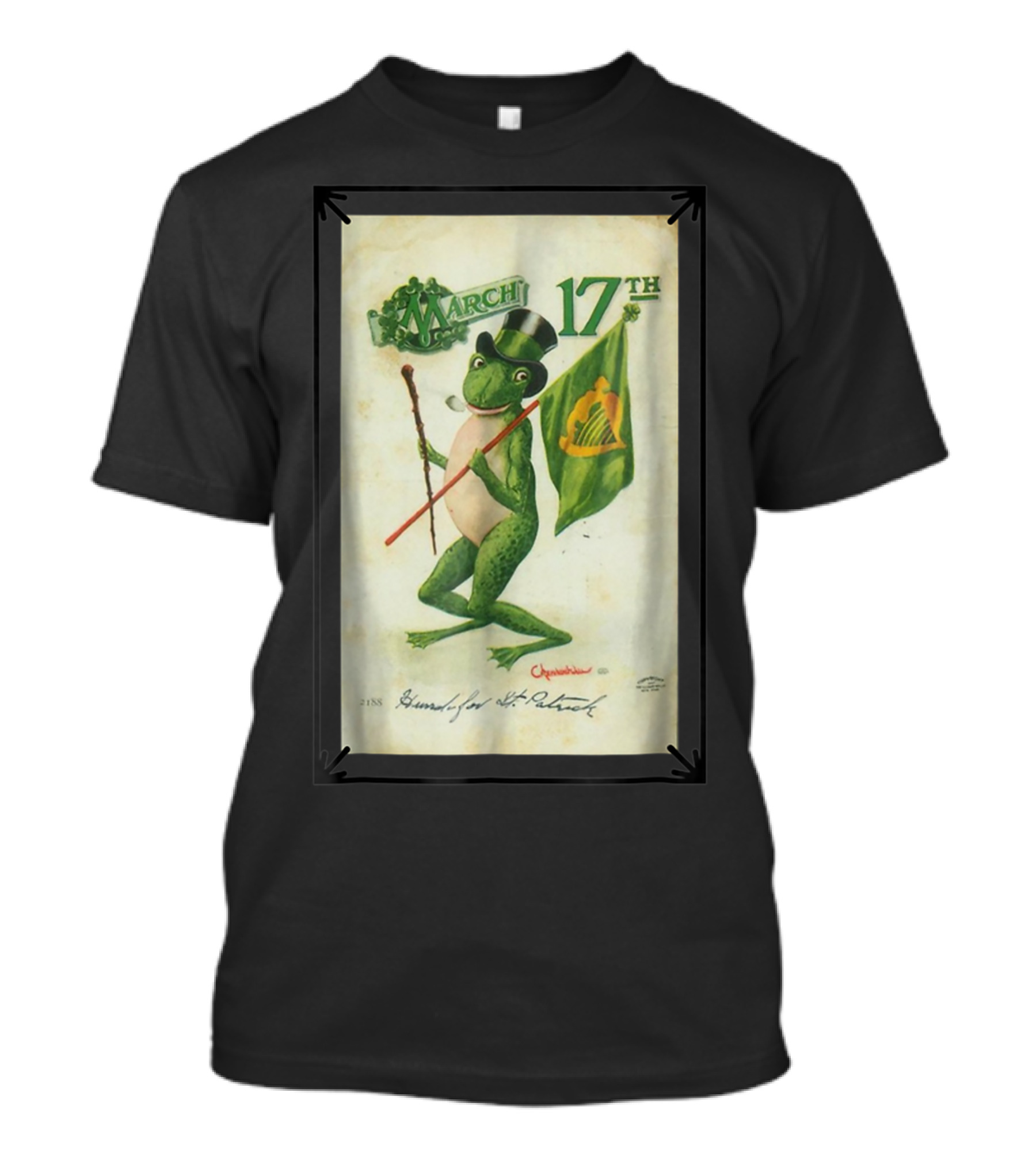March 17th St. Patrick's Day Frog With Harp Flag And Top Hat T-Shirt