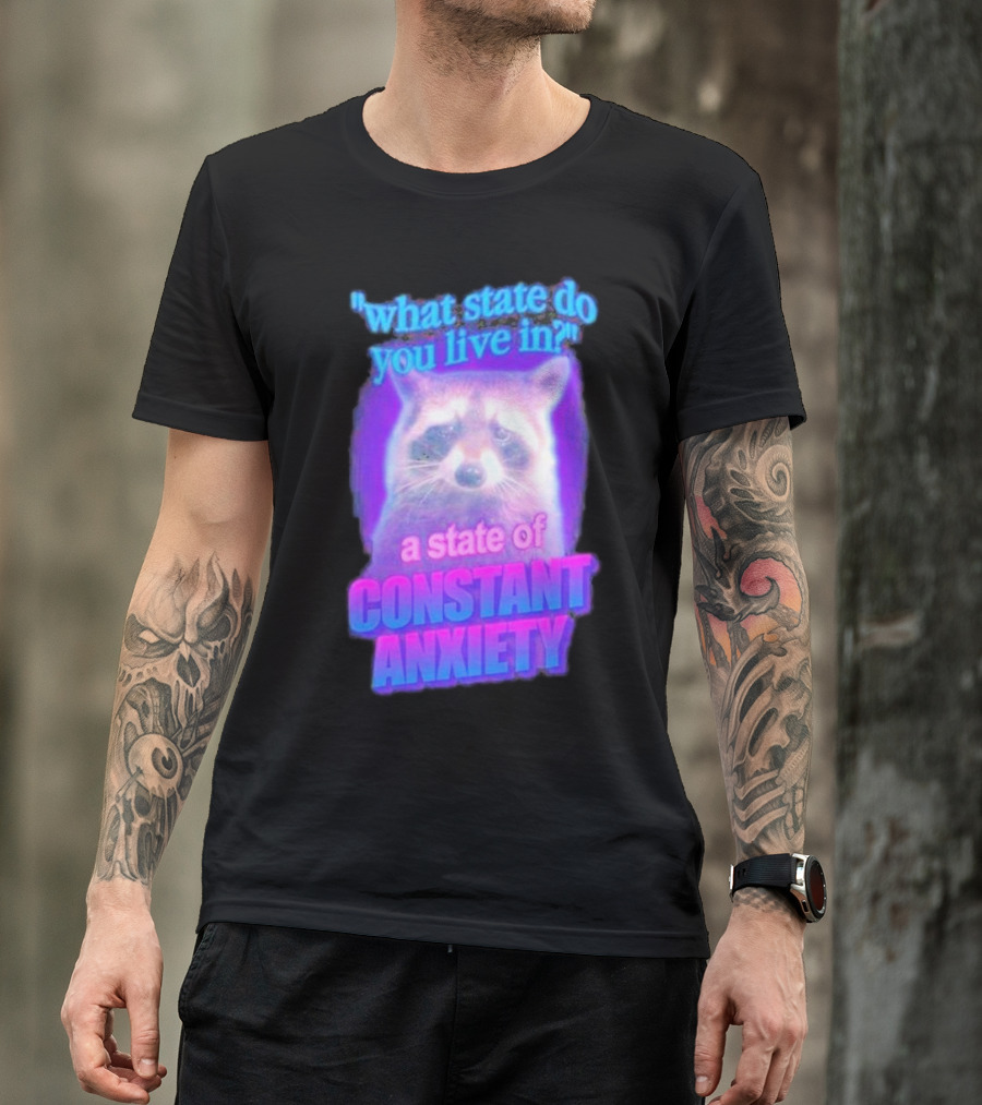 Raccoon In A State Of Constant Anxiety Meme T-Shirt
