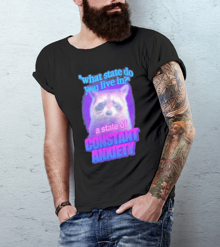 Raccoon In A State Of Constant Anxiety Meme T-Shirt