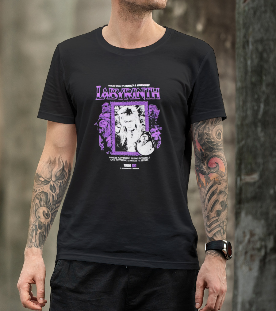 Dazzling World Of Fantasy And Adventure Labyrinth 1986 Where Anything Seems Possible And Nothing Is What It Seems T-Shirt