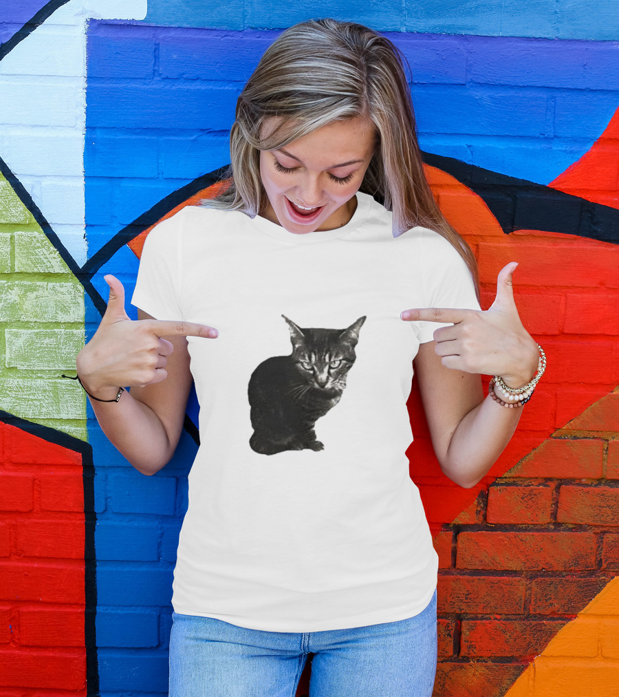 Smileymaya15 How Long Have I Been Here Kitten Cat Black Gray Tabby T-Shirt