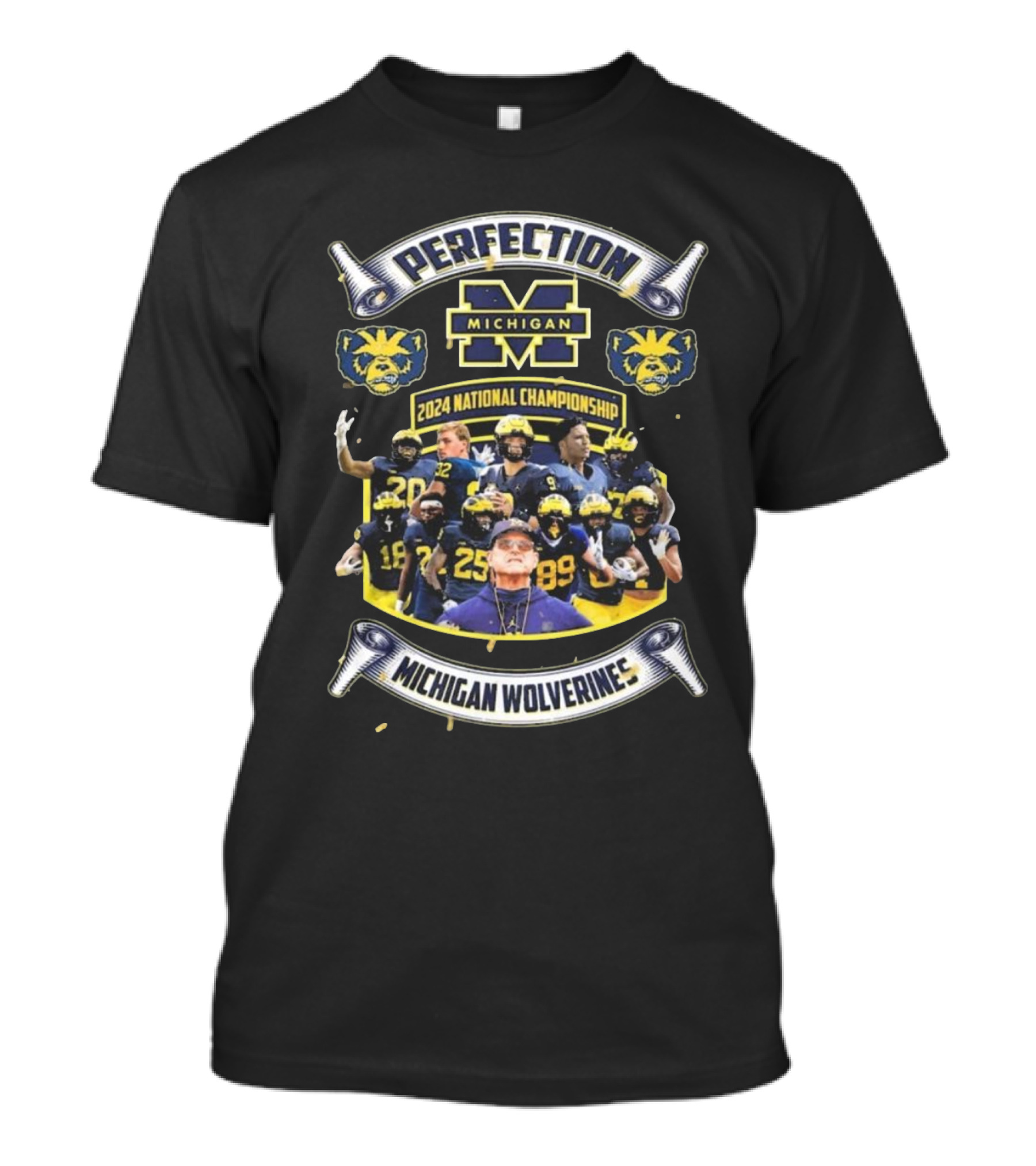Perfection Michigan Wolverines 2024 National Championship T-Shirt