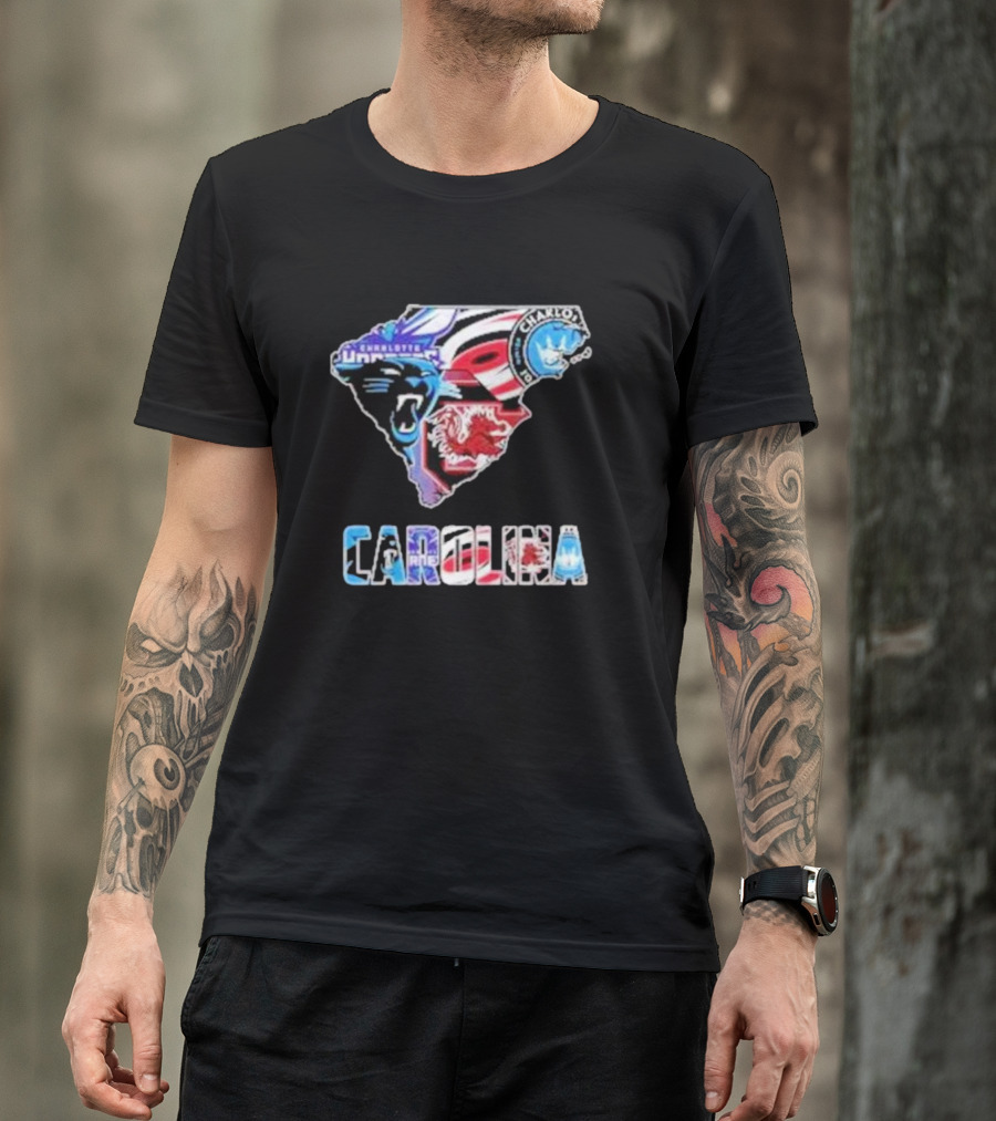Carolina Panthers South Carolina Gamecocks Charlotte FC Hurricanes Carolina T-Shirt