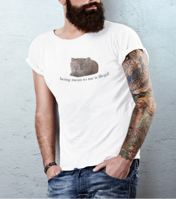 Being Mean To Me Is Illegal Cute Orange Cat T-Shirt