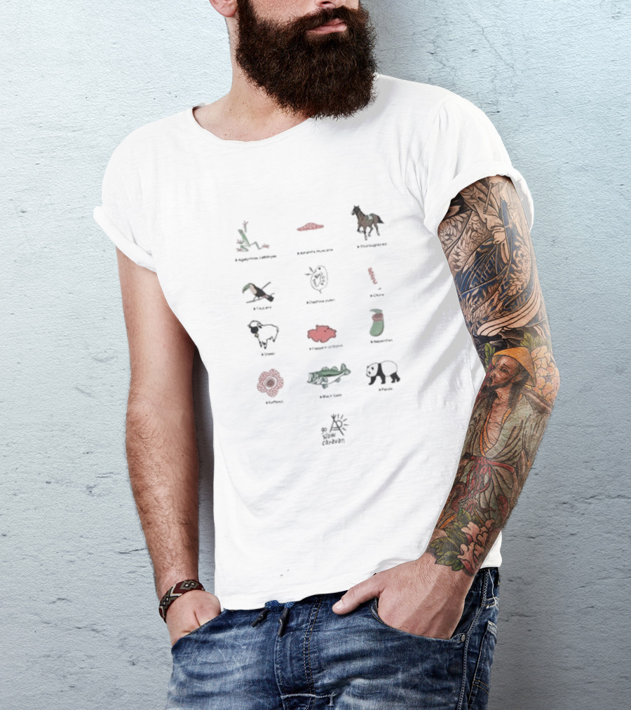 Usa C Gsc Various Motif Back Print Pkt Loose Fitting Garden Snake Manhattan Horse Puffin Dragonfly Great Barrier Reef Poppy Sheep Strawberry Fire Flower Caiman Panda Arles Cezanne T-Shirt