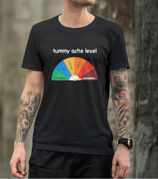 Tummy Ache Level Catastrophic Scale Low Moderate Severe Cringe T-Shirt