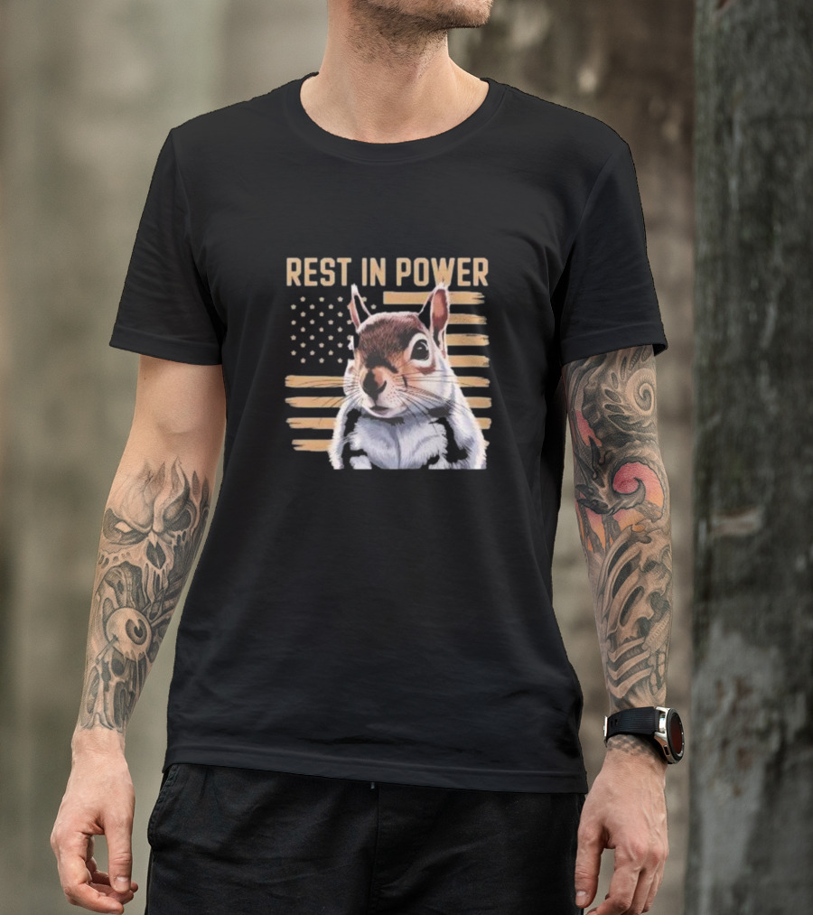 Rest In Power Peanut Justice For Peanut 2024 Squirrel American Flag T-Shirt