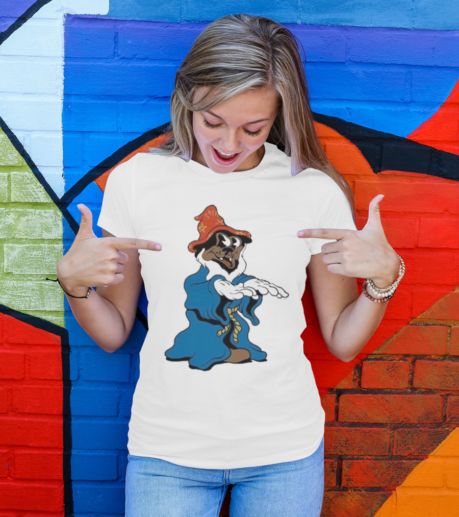 The Dudes It’s All Wavy Wizard Dog In Blue Robe With Orange Star Hat T-Shirt
