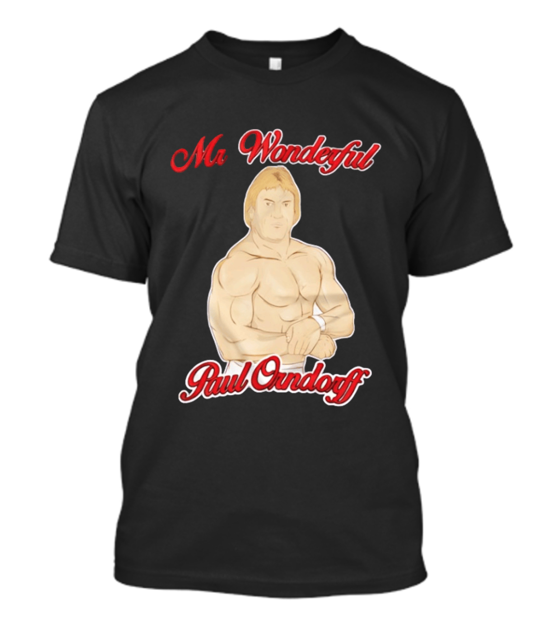 Mr Wonderful Paul Orndorff Vintage Wrestling Legend T-Shirt