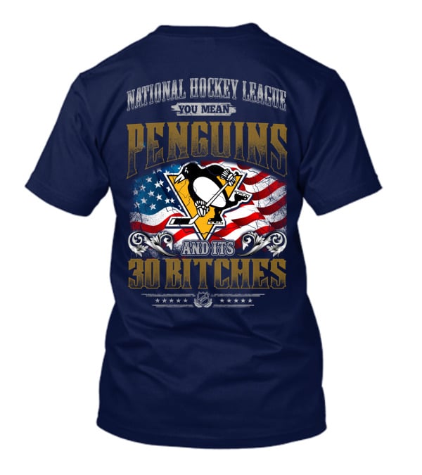 National Hockey League You Mean Penguins And Its 30 Bitches T-Shirt