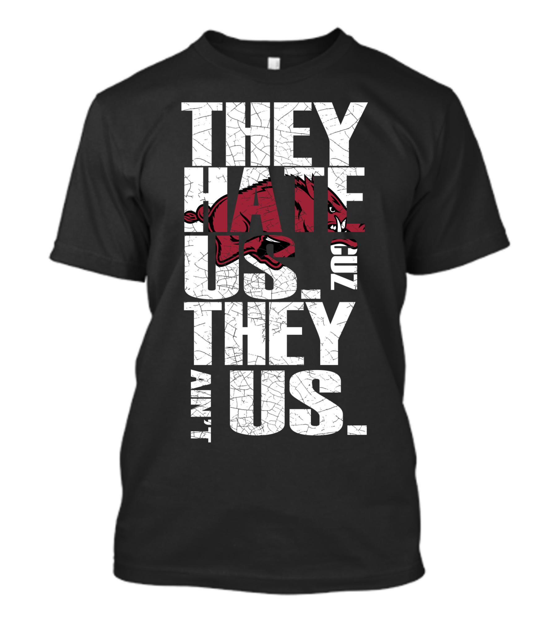 They Hate Us 'Cause They Ain't Us Arkansas Razorbacks T-Shirt