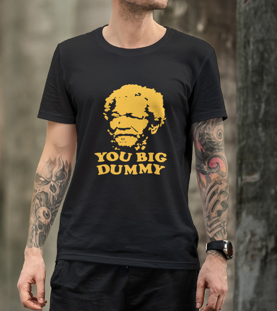 Sandford You Big Dummy Father With Son T-Shirt