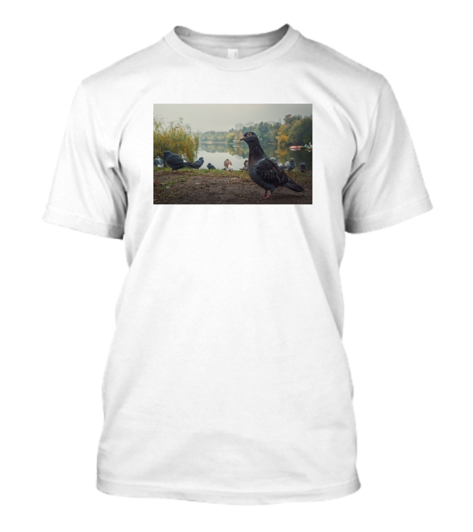 Dove In Serene Lakefront Setting Closeup T-Shirt