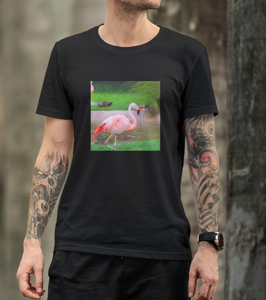 Pink Flamingo In Lush Green Habitat T-Shirt