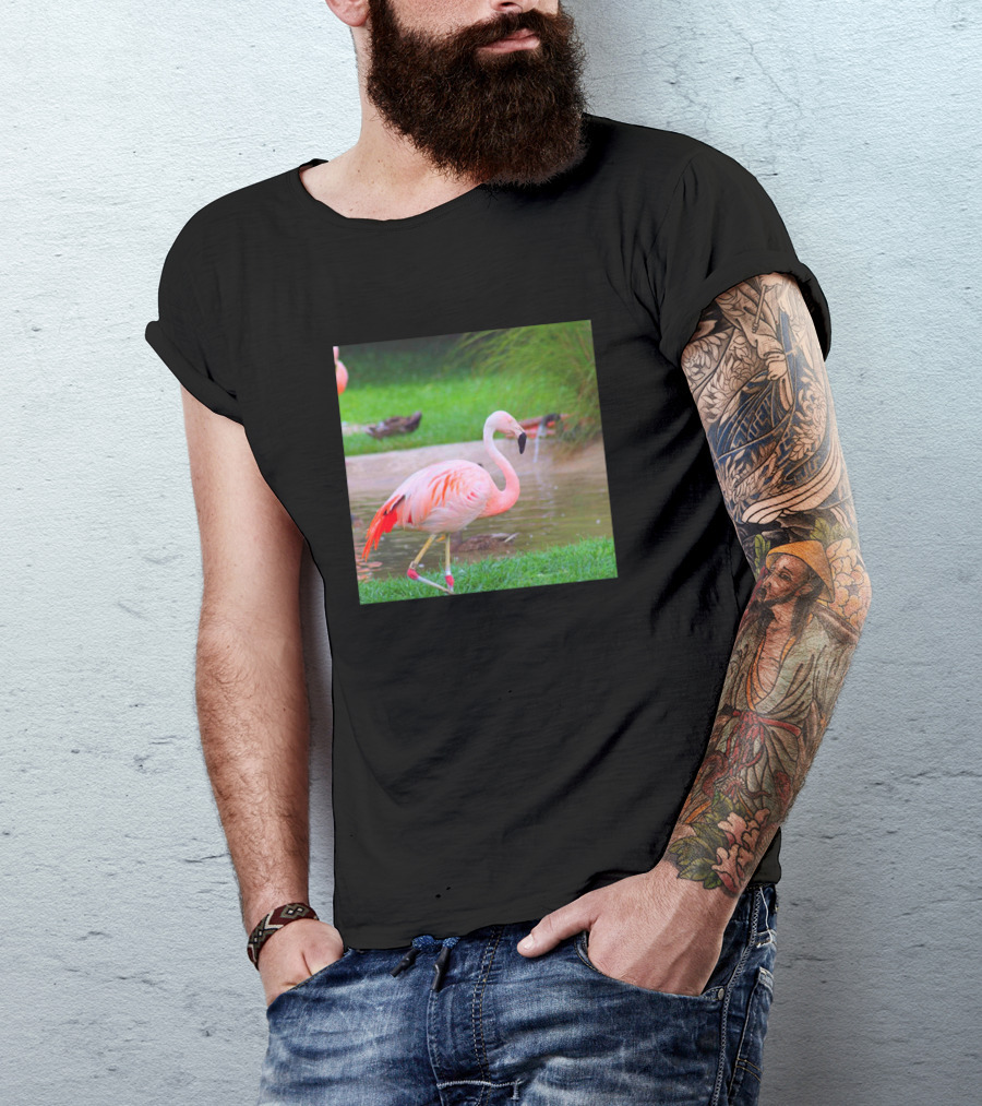 Pink Flamingo In Lush Green Habitat T-Shirt