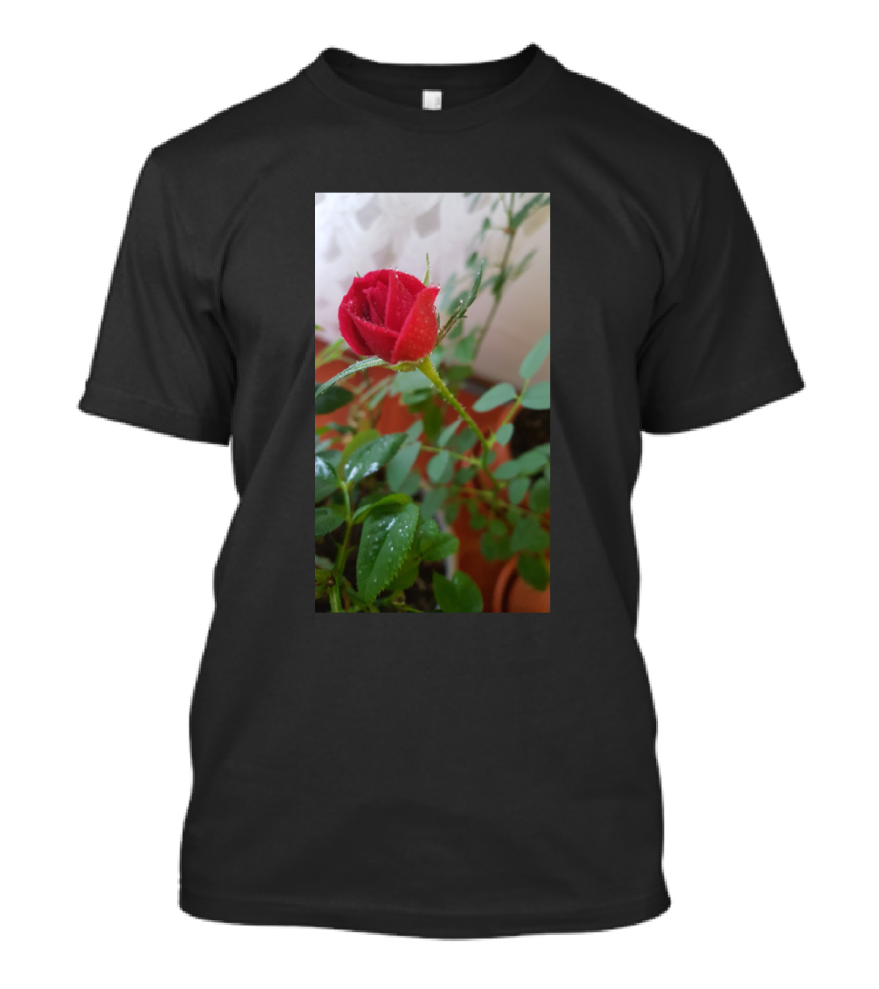 Rosse Red Rose Bloom With Green Leaves In Natural Setting T-Shirt