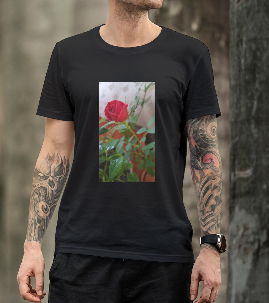 Rosse Red Rose Bloom With Green Leaves In Natural Setting T-Shirt