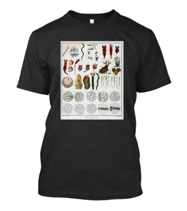 Microbiology Life Illustrated: Trematoda Exploration T-Shirt