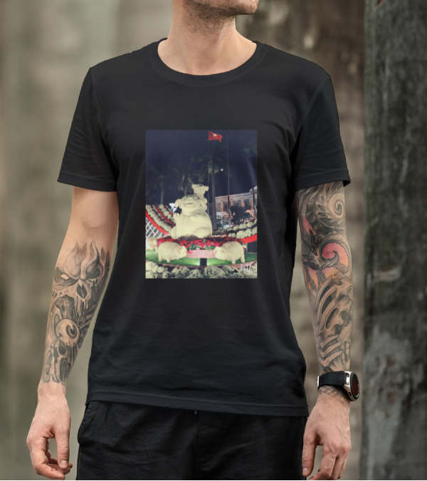BG47 Nighttime Pig Statue Display With Red Flag T-Shirt