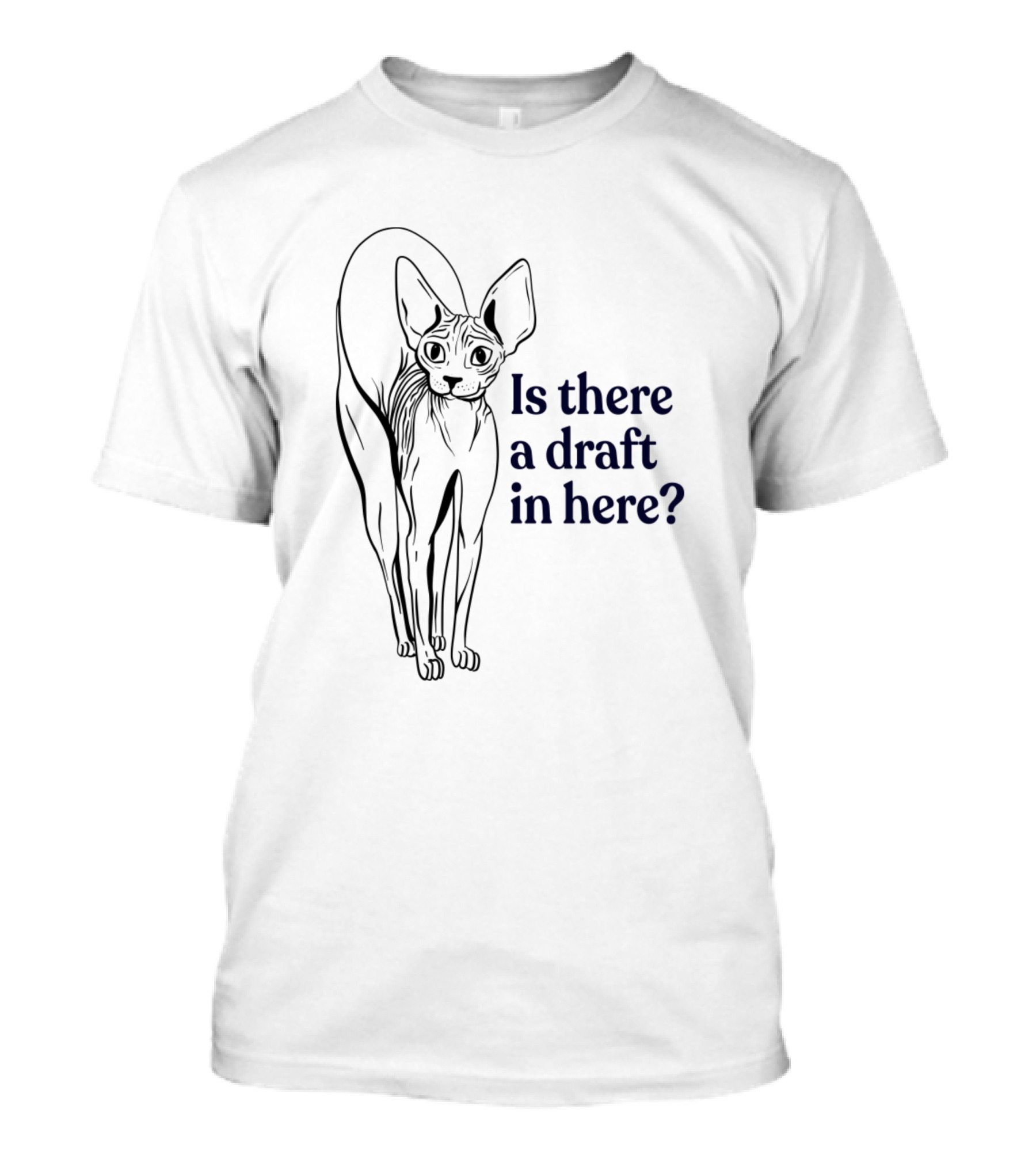 Is There A Draft In Here Sphynx Cat T-Shirt