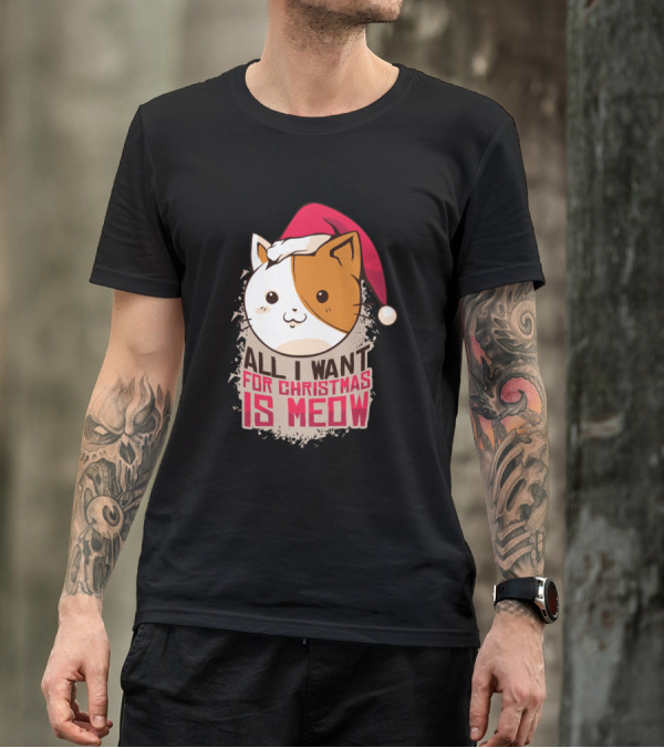 All I Want For Christmas Is Meow Cat Santa Hat T-Shirt