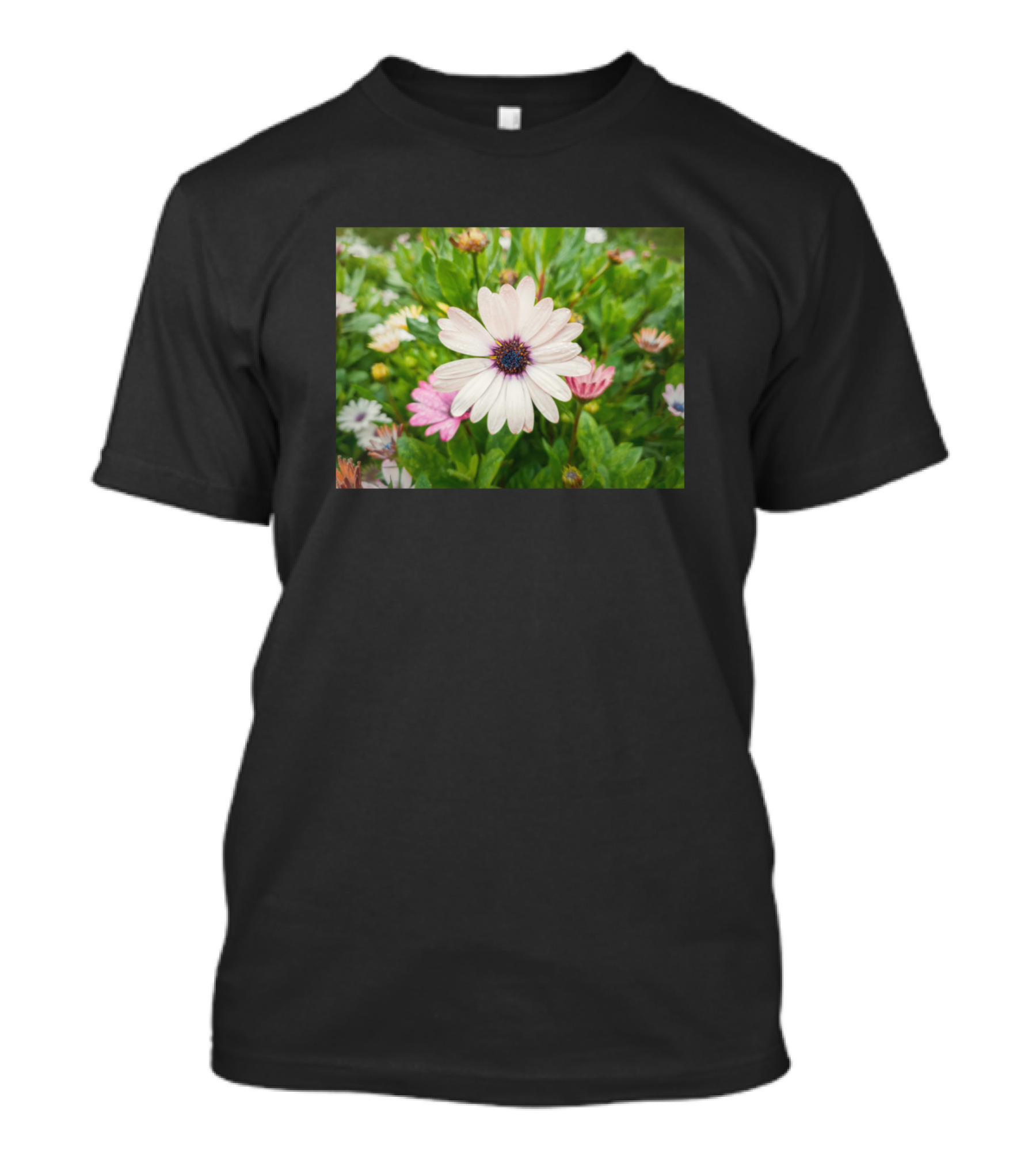 White Asters Flower Blooms In Lush Green Fields T-Shirt